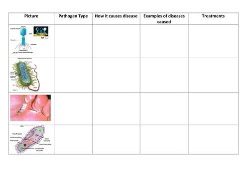 Pathogens Table Virus Bacteria Fungi Protocis Teaching Resources