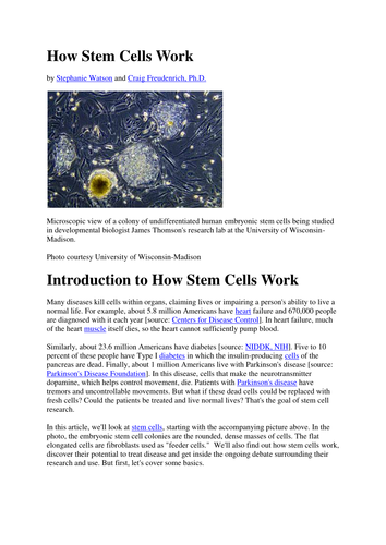 Stem Cell Lesson | Teaching Resources
