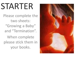 Stem Cell Lesson | Teaching Resources