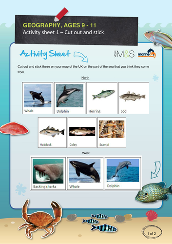 School of Fish REVISED FOR 2013 | Teaching Resources