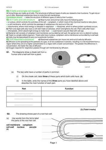 AQA GCSE Biology Unit 2 Revision part 1 | Teaching Resources