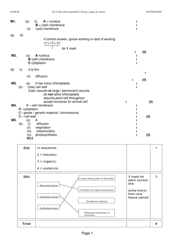 AQA GCSE Biology Unit 2 Revision part 1 | Teaching Resources