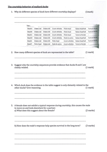 Courtship behaviour | Teaching Resources