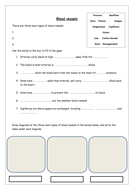 Blood vessels worksheets by ha97 - Teaching Resources - Tes