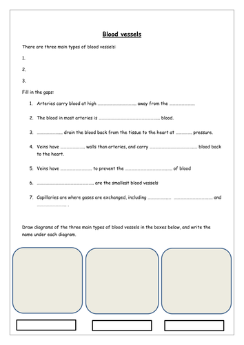 Blood vessels worksheets | Teaching Resources