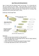 Agar Plates | Teaching Resources