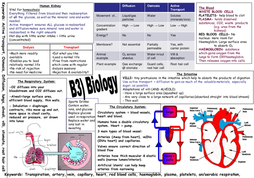 ppt, 854 KB