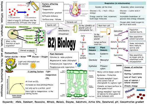 ppt, 689 KB