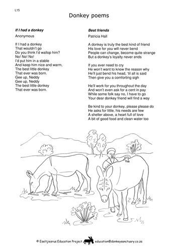 Stories, poems and worksheets - all on DONKEYS! | Teaching Resources