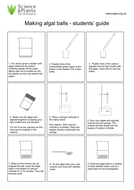algal balls photosynthesis experiment bbc bitesize