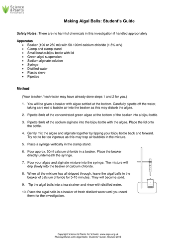 algal balls photosynthesis experiment bbc bitesize