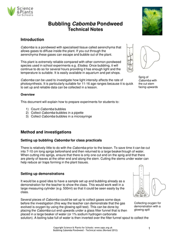 pondweed experiment exam question answer