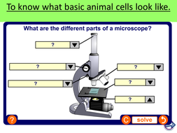 Animal cells | Teaching Resources