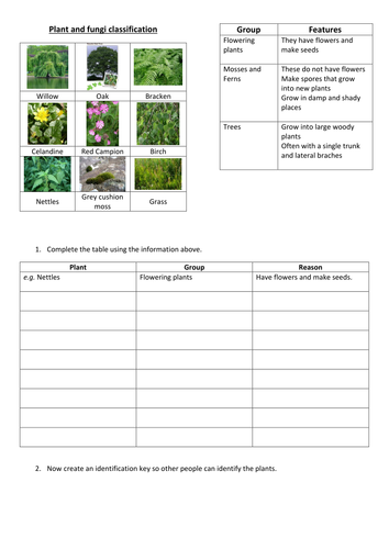 plant classification teaching resources