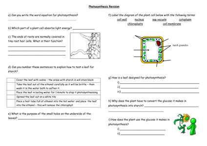 Photosynthesis Revision Lesson - Resources - TES phase diagram test questions 