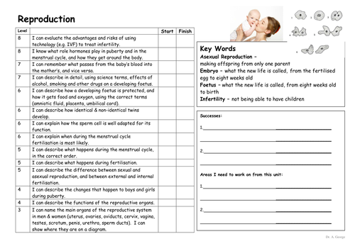 Reproduction Target Sheet Questions And Test Ks3 By Pand Uk Teaching 4926