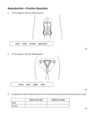 reproduction target sheet questions test ks3 teaching resources