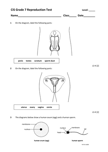 Reproduction Target Sheet Questions And Test Ks3 Teaching Resources