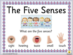 Senses | Teaching Resources