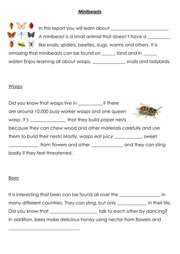 Minibeast report, VCOP, comprehension & cloze | Teaching Resources