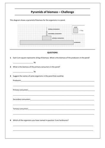 pyramids-of-energy-biomass-and-numbers-for-two-different-food-chains-chemistry-worksheets