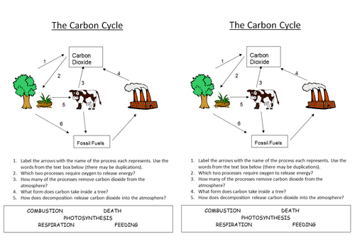 Printables Carbon Cycle Worksheets printables the carbon cycle worksheet safarmediapps worksheets b1 5 4 by nryates157 teaching resources tes