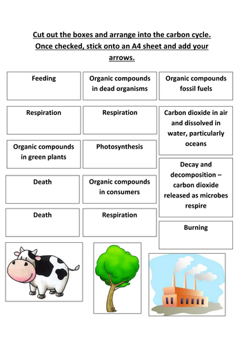 B1 5.4 Carbon Cycle by nryates157 - Teaching Resources - TES