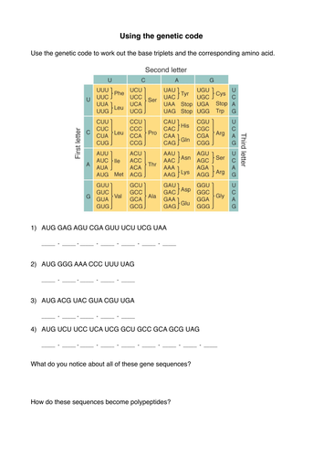 Using the genetic code | Teaching Resources