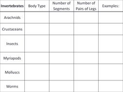 Discovering Invertebrates | Teaching Resources