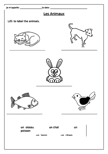 french pets les animaux worksheet teaching resources