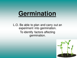 Green Plants - KS2 Science lessons | Teaching Resources