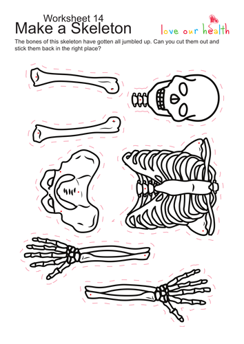 worksheet 3 year skeletons animal Skeletons   by parmard1 year Science Teaching 3 Resources