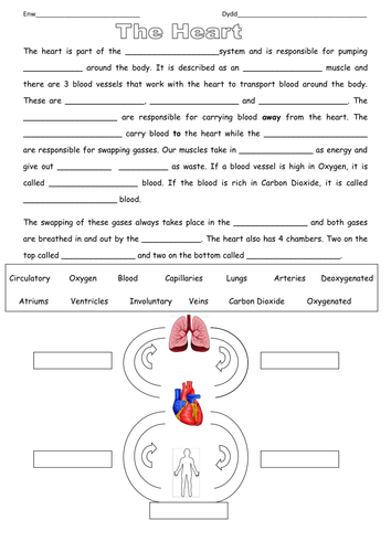 The heart and circulatory system cloze procedure by carlfarrant88