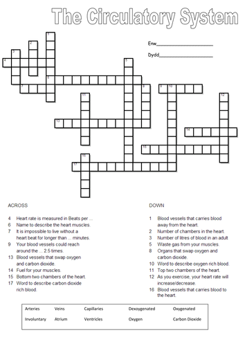 The heart and circulatory system crossword puzzle by carlfarrant88