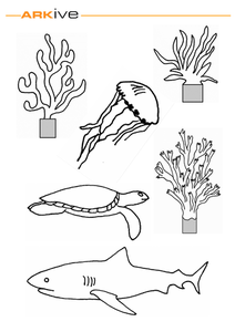 Shoebox habitats: Under the sea - Resources - TES