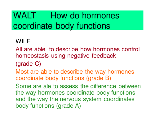 ppt, 74 KB