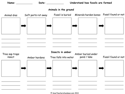 How fossils are formed lesson plan and worksheet - Resources - TES