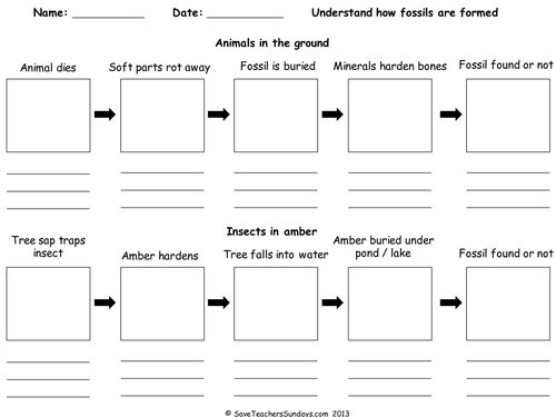 Printables Fossils Worksheet how fossils are formed lesson plan and worksheet by saveteacherssundays teaching resources tes