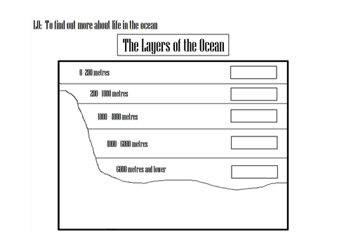 cell membrane coloring worksheet answers cell membrane coloring worksheet answers