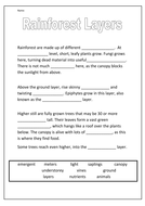 Rainforest Activities | Teaching Resources