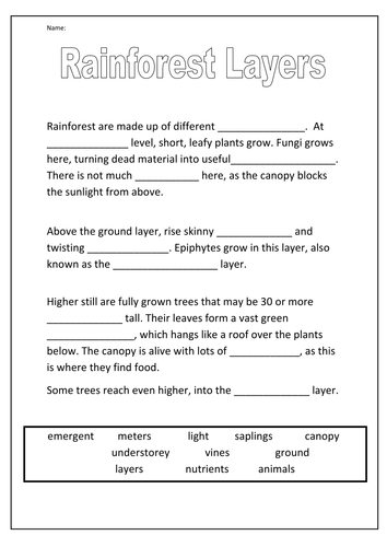 Rainforest Activities | Teaching Resources