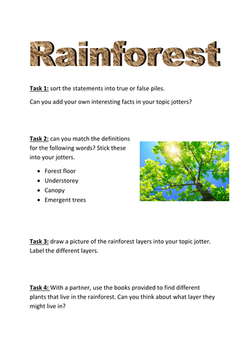 Rainforest Activities | Teaching Resources