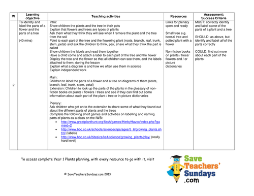 parts-of-a-plant-a-tree-lesson-plan-worksheet-by