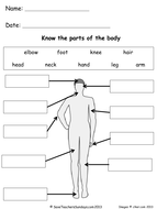 Parts of the Body lesson plan and worksheets | Teaching Resources