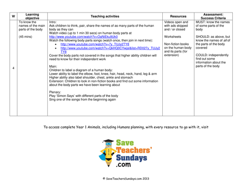 Parts Of The Body Lesson Plan And Worksheets Teaching Resources