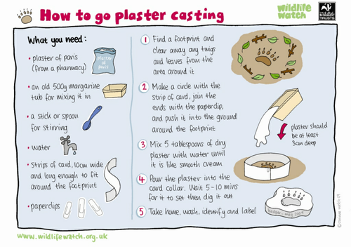 How to go plaster casting | Teaching Resources