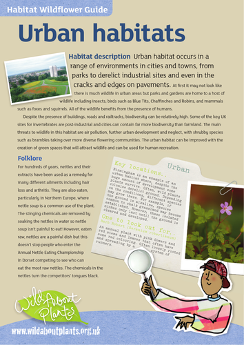 Urban Habitat Guide | Teaching Resources