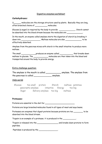Worksheet Enzyme Worksheet enzymes lesson by zuba102 teaching resources tes digestive worksheet docx