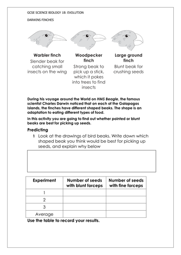 Printables Natural Selection Worksheet natural selection worksheet pichaglobal