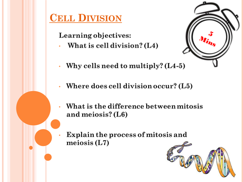 Cell division | Teaching Resources